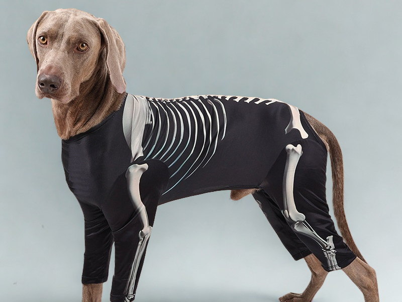 Spook-tacular Skeleton Pet Fashion for Halloween– Trendy & Stylish Pet Costume for Large Dogs