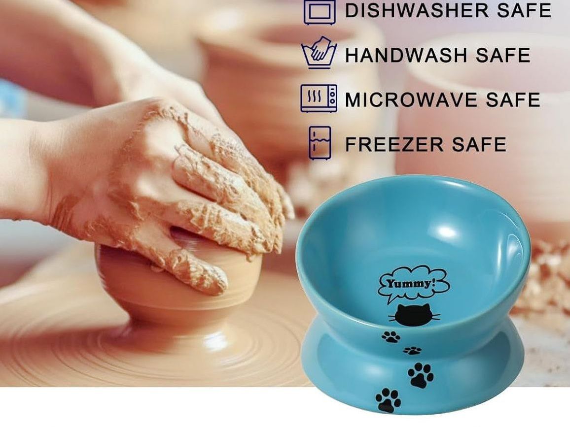 Ceramic Cat Food Bowl