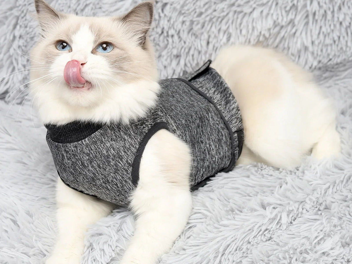 Cats Clothing Anxiety Jacket Thunder Stress Anxiety Relief Coat for Pet Emotional Comfort Clothes Safety Vest Recovery Suit