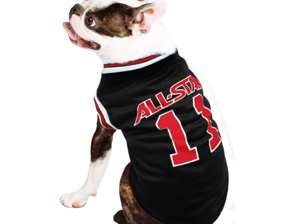 Spring and Summer Pet Dog Vest Sportswear