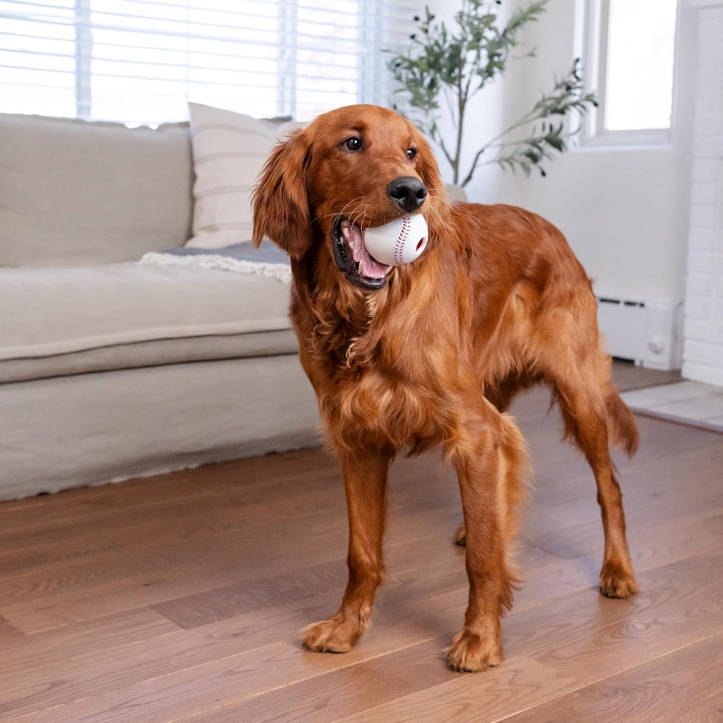 Orbee-Tuff Baseball: Durable Treat-Dispensing Dog Ball, Interactive Fetch Toy, Mint Scented, BPA-Free for Indoor and Outdoor Play, White