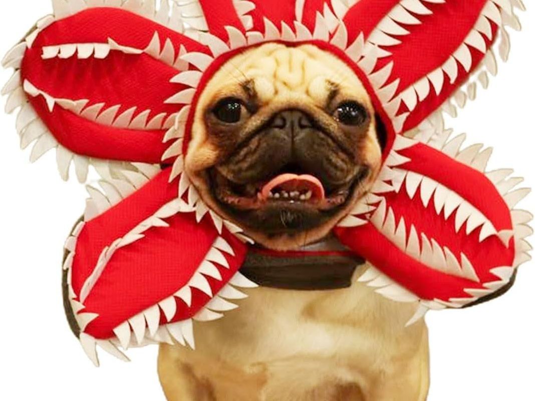 Dog Halloween Chomper Costume - Pet Holiday Demon Hat Scary Headband Flower Cosplay Outfits Funny Headwear Stranger Clothes for Medium Dog