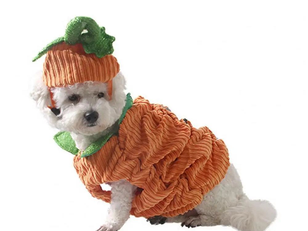 Pet Suit with Ear Hole Design Corduroy Fabric Pet Suit Adorable Halloween Pet Costumes for Small Dogs Cats Pumpkin for Funny