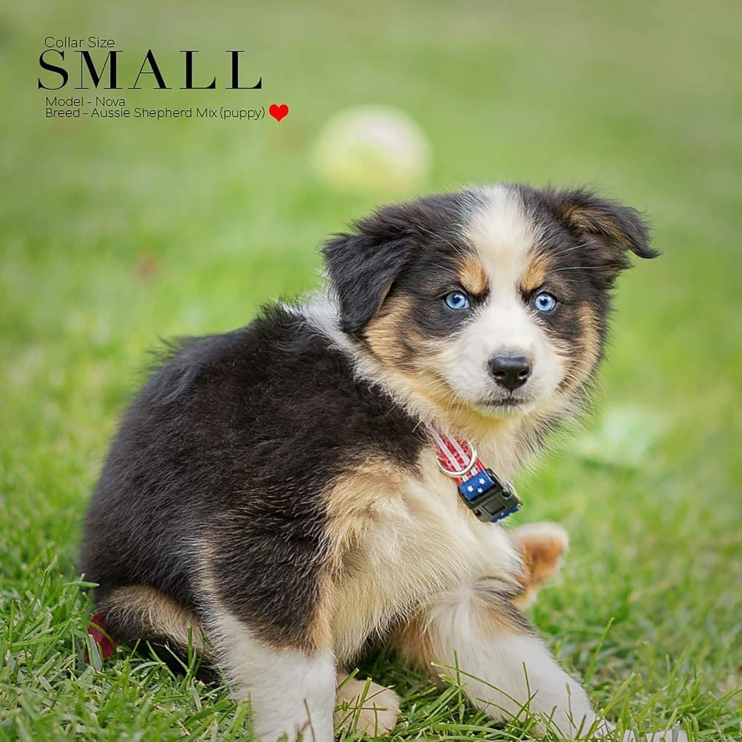Show Your Patriotism with the American Flag Dog Collar - Classic Style, 5 Adjustable Sizes Available