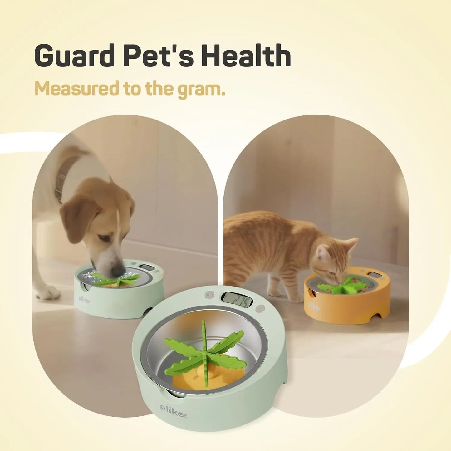 Dog and cat eating from digital pet bowls; one mint green, one yellow, with leaf-shaped obstacles.