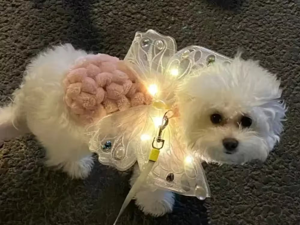 Glowing Butterfly Wings – Pet Costume for Small Dogs & Cats