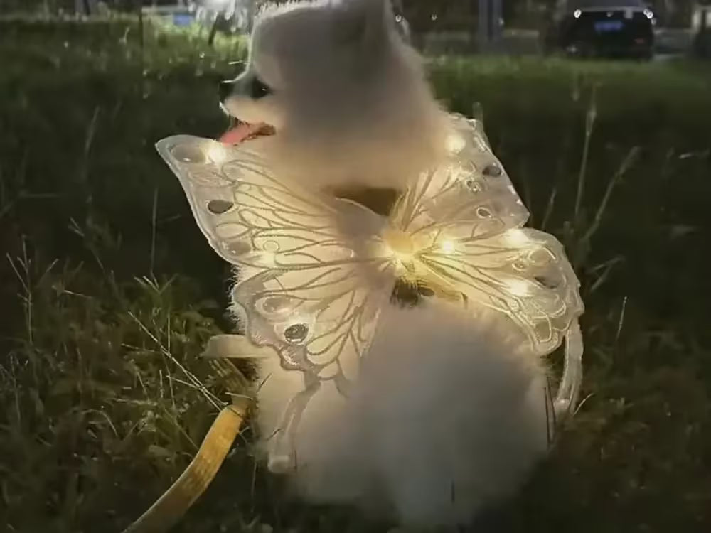 Glowing Butterfly Wings – Pet Costume for Small Dogs & Cats