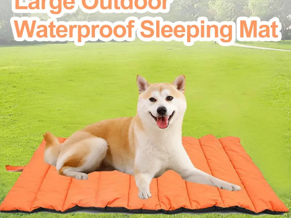 Portable & Reversible Pet Mat - The Perfect Outdoor Companion