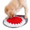 Shark Snuffle Mat – Interactive Dog Training & Feeding Toy