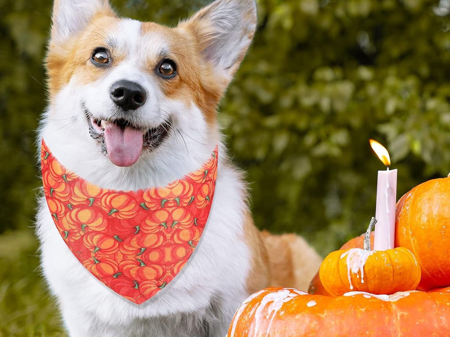 12-Pack Adjustable Halloween Bandanas for Dogs and Cats - Triangle Design Featuring Bat, Ghost, and Pumpkin Patterns - Pet Apparel Accessories
