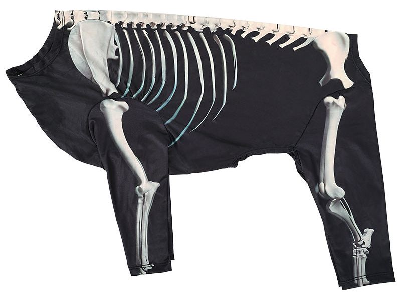 Fashion Pet Dog Clothes Halloween