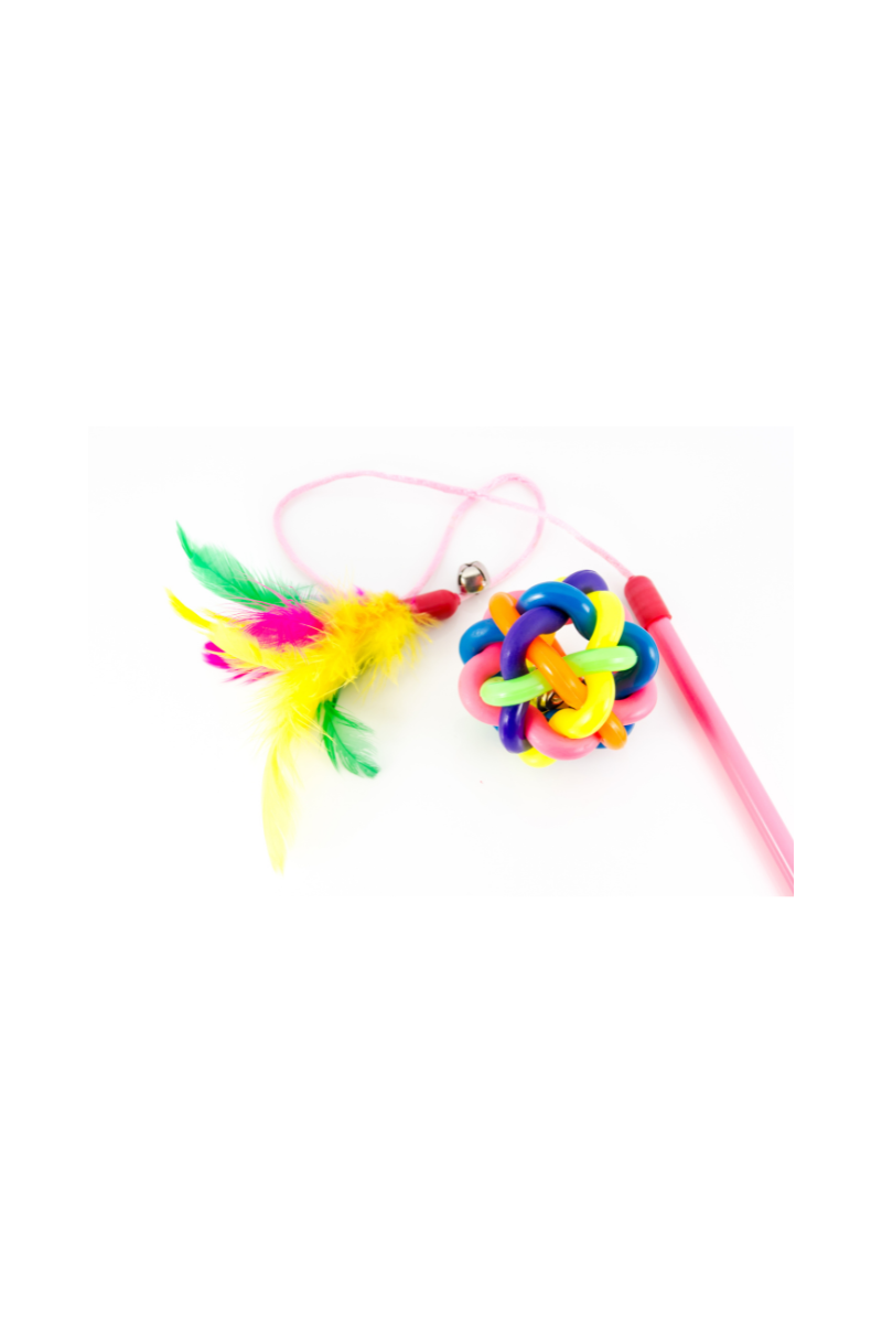 Cat Toys