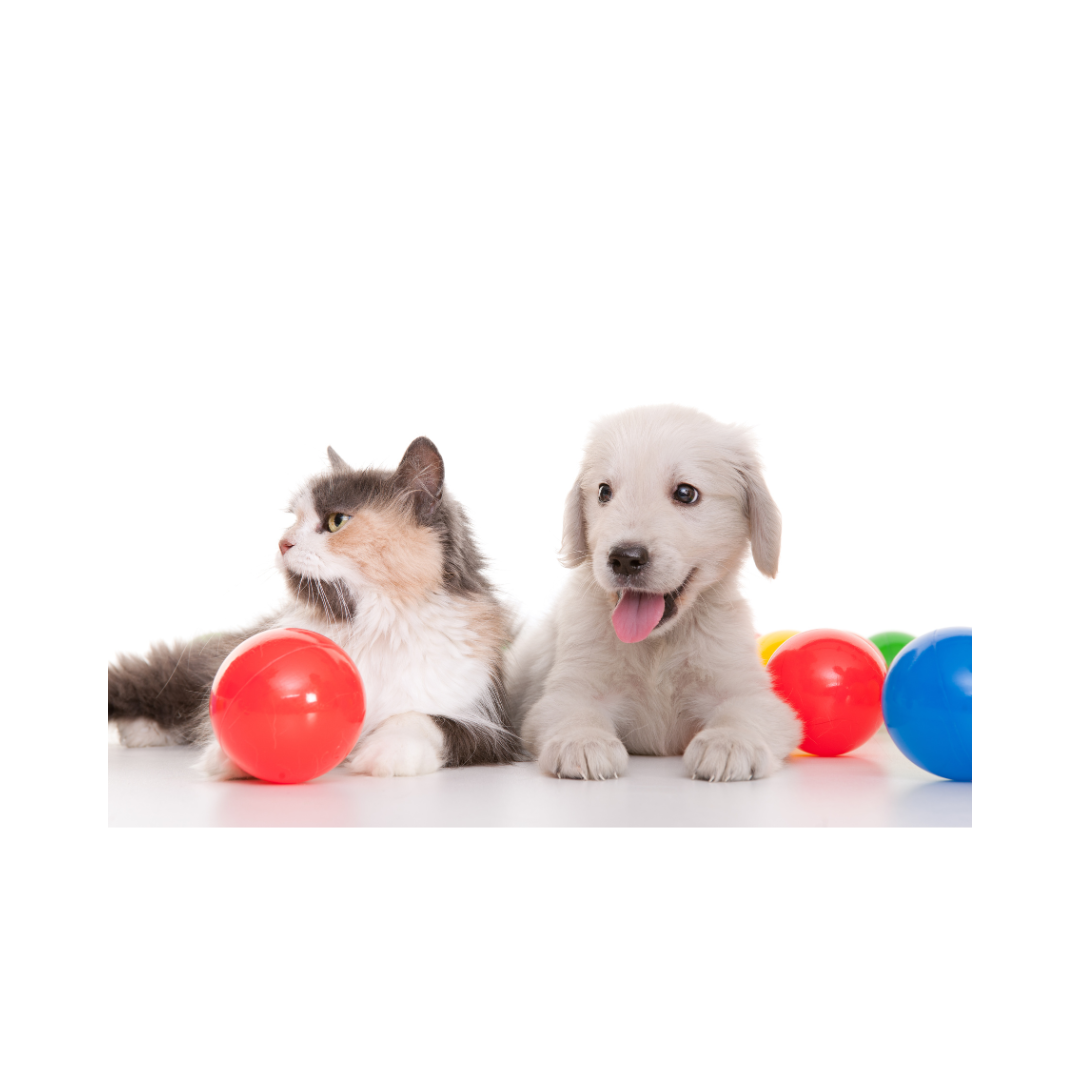 Charlie’s Spotlights & Savings