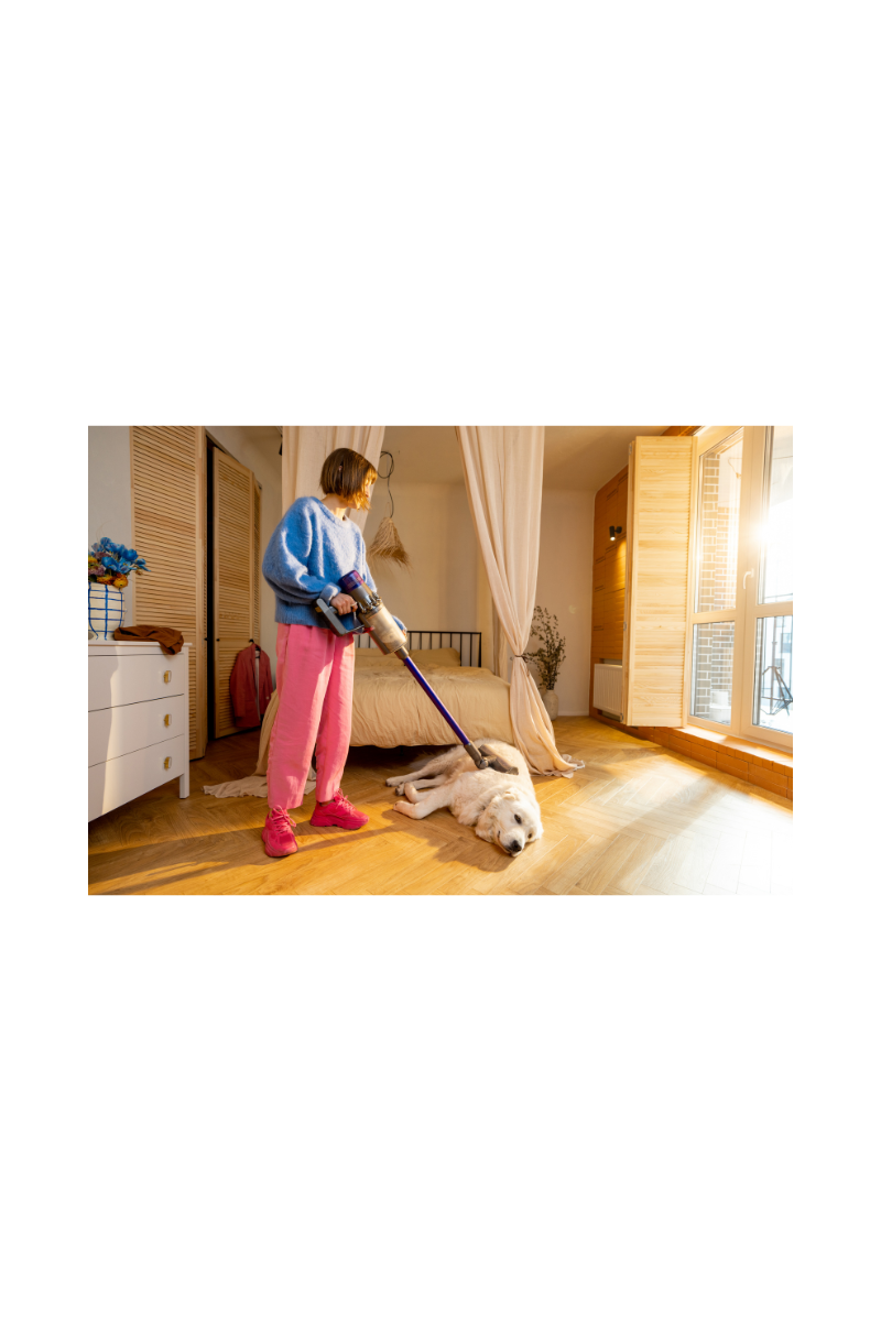 Pet Cleaning & Maintenance