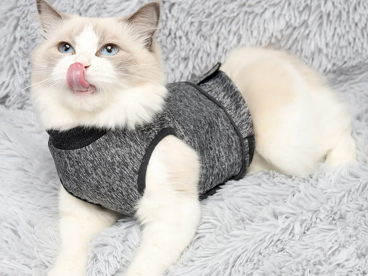 Cat Apparel