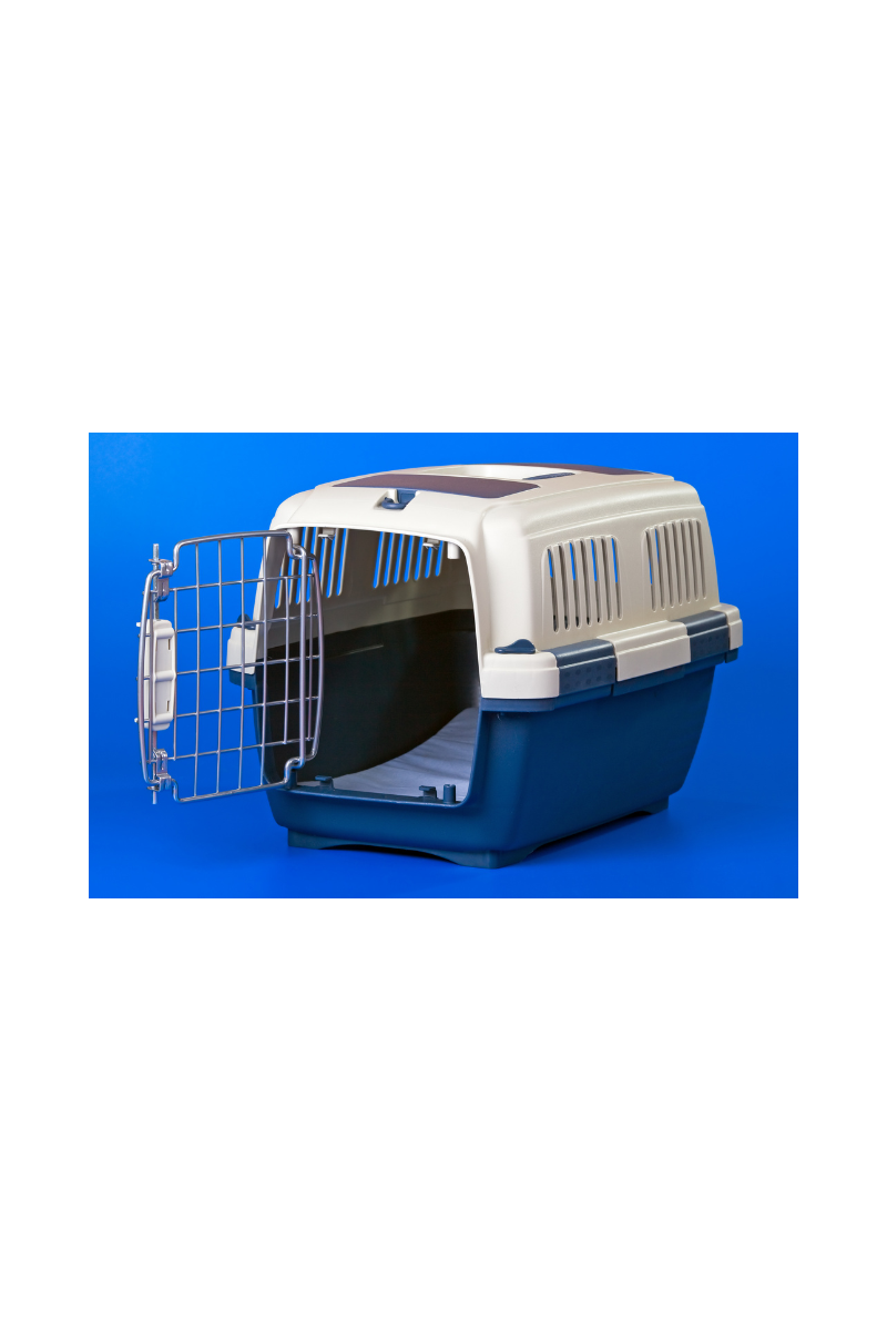 Pet Travel and Mobility