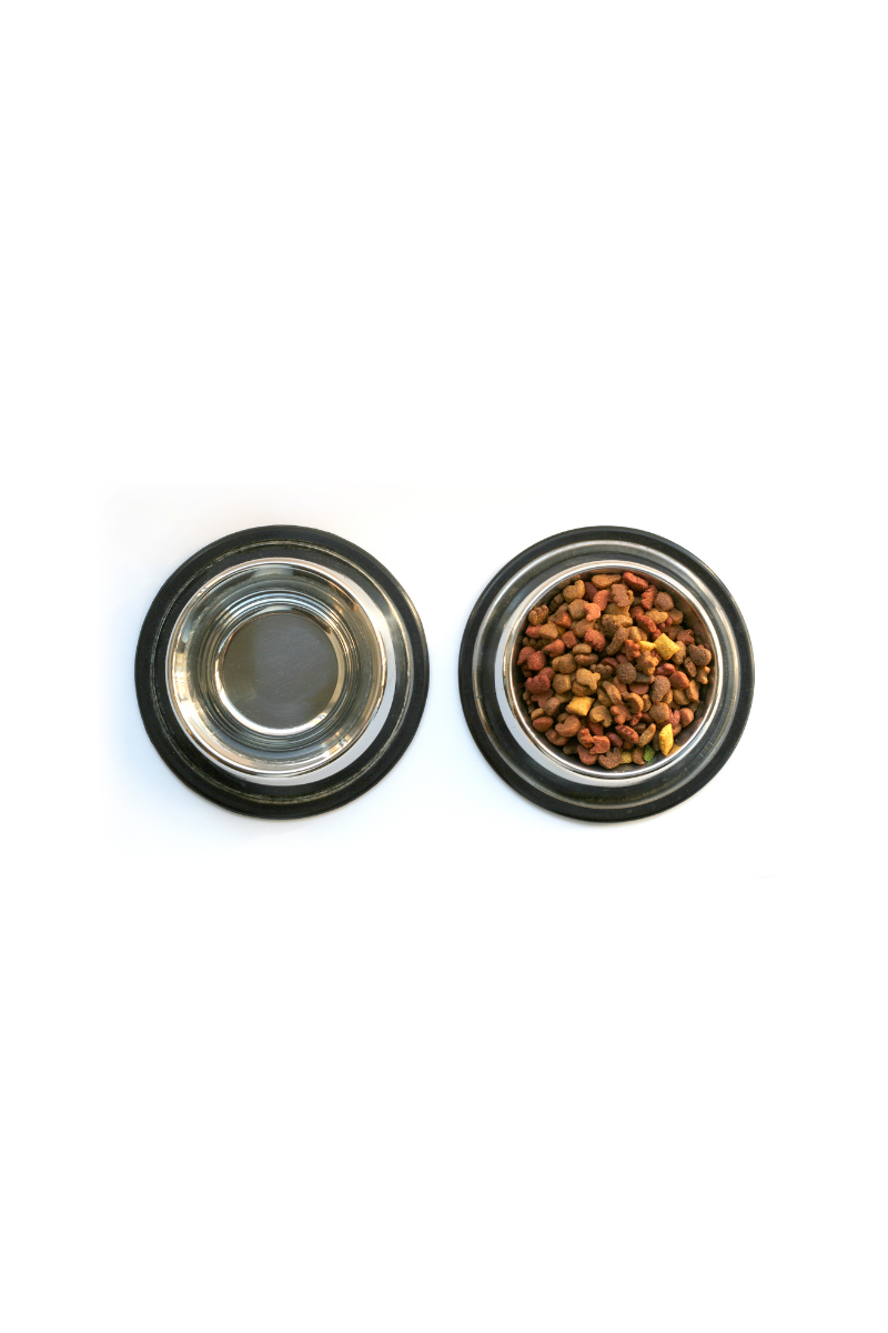 Pet Feeding & Hydration