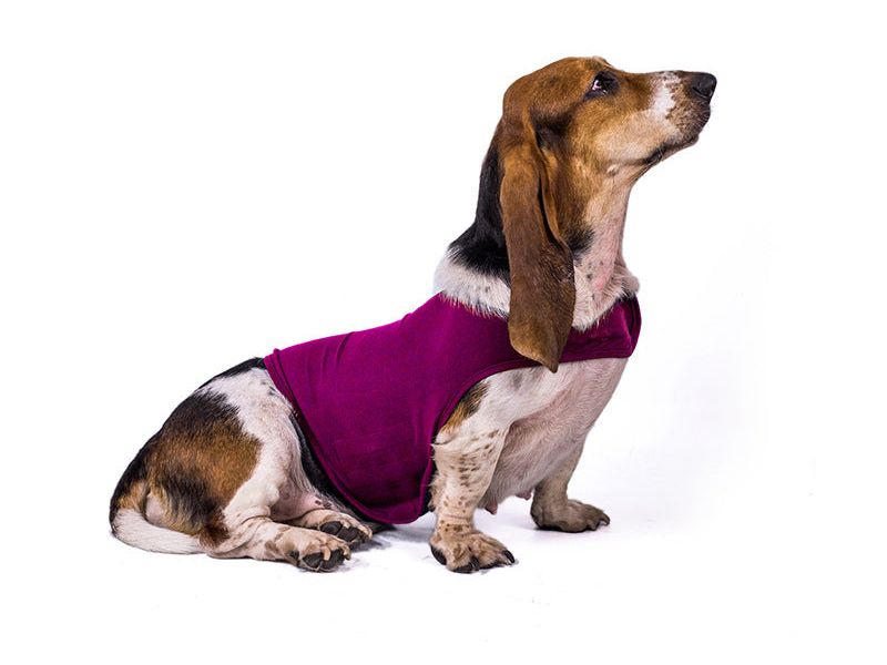 Dog Apparel