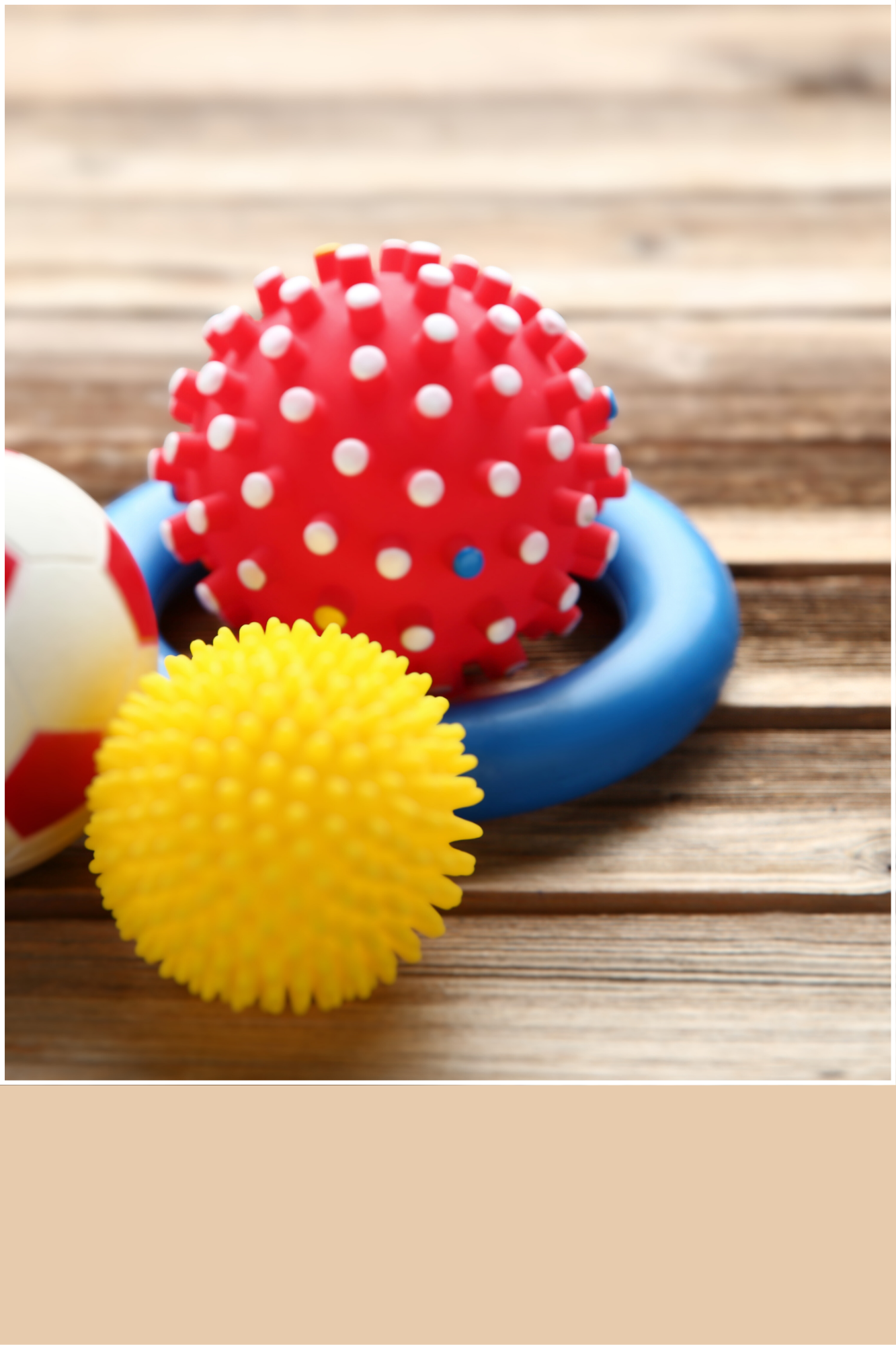 Dog Toys