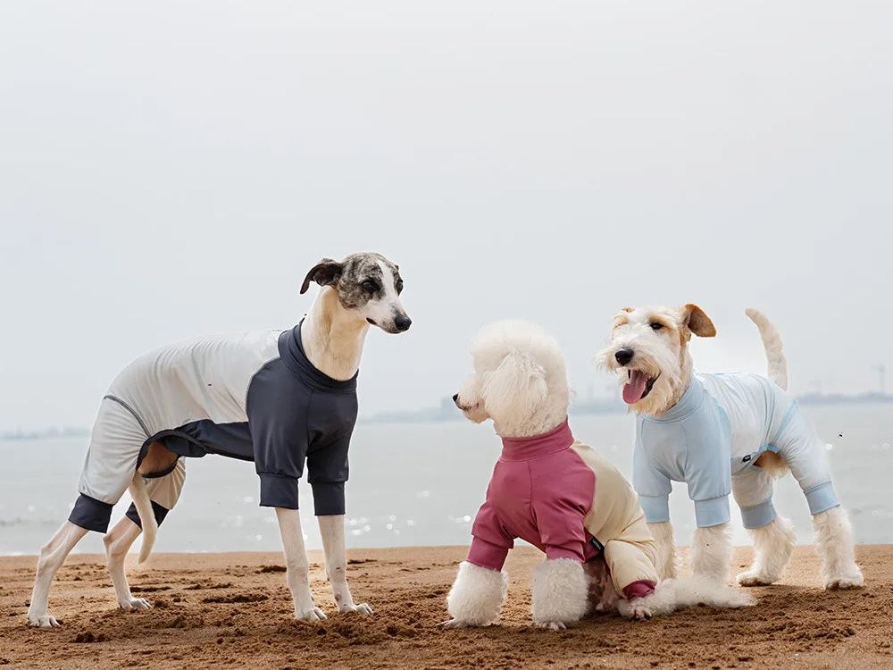 Summer Cooling Dog Vest Shirt UPF50+ Sun Protection Dog Jumpsuit Fast Drying Dirt-Proof Summer Dog Clothing Soft Outdoor Overall