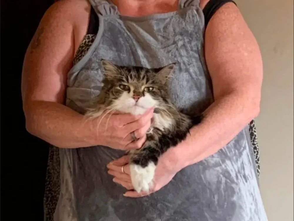 SNUGGLE PET APRON