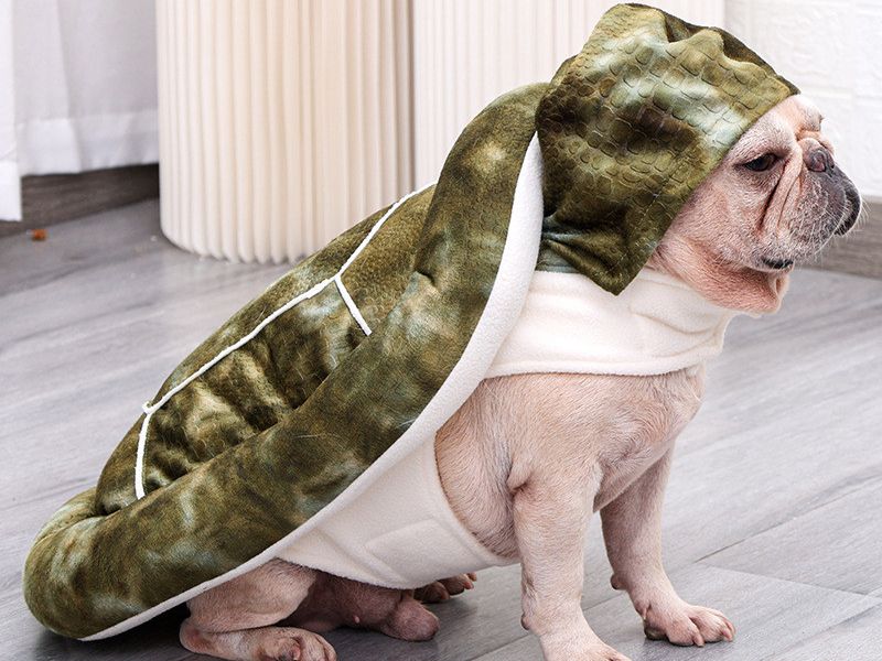 Tortoise Dual Purpose Transfiguration Multifunctional Pet Nest Winter Warm Clothing