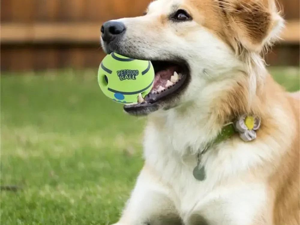 Dog Toy Funny Interactive Giggle Ball 