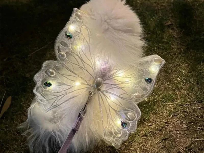 Dog Wings Glowing Butterfly Pet Back Decoration Creative Cute Pet Accessorie Dog Clothes for Small Medium Accessory Cat Supplies