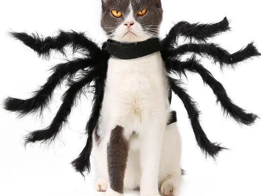 Cat Halloween Costume Cat Bat Wings - Pet Bat Costume Dress Costume Outfit Wing for Small Dogs Cats 2025 Newest Pet Halloween