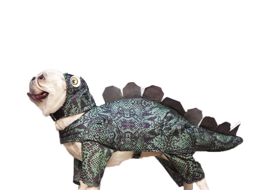 Pet Dinosaur Clothes