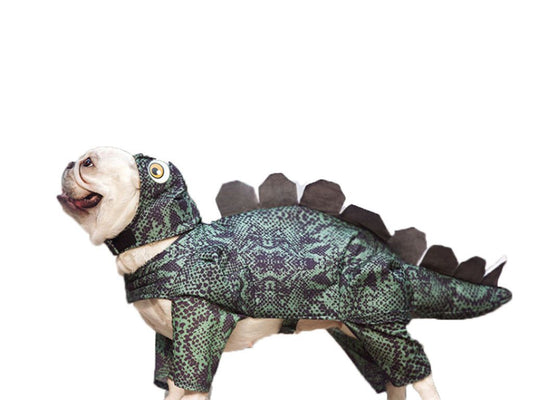 Pet Dinosaur Clothes