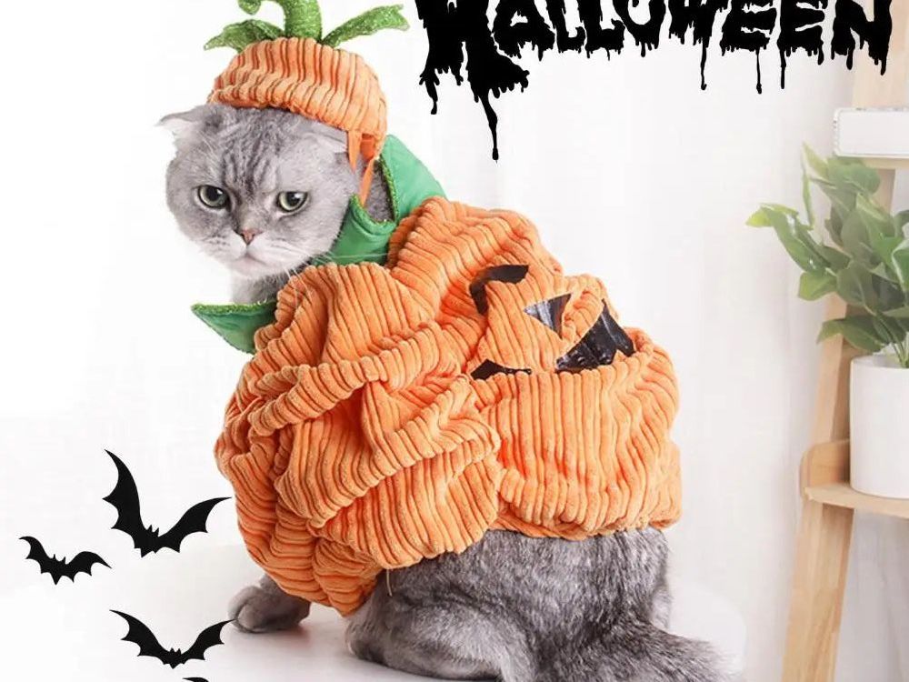 Pet Suit with Ear Hole Design Corduroy Fabric Pet Suit Adorable Halloween Pet Costumes for Small Dogs Cats Pumpkin for Funny