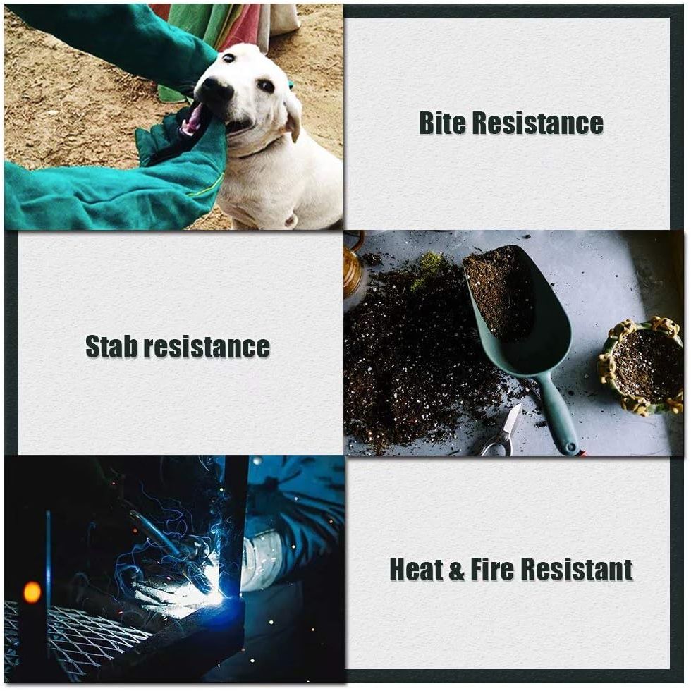 Professional Animal Handling Gloves for Protection Against Bites and Scratches - Suitable for Dogs, Cats, Birds, and Parrots (Green)