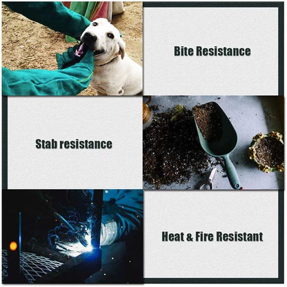 Professional Animal Handling Gloves for Protection Against Bites and Scratches - Suitable for Dogs, Cats, Birds, and Parrots (Green)