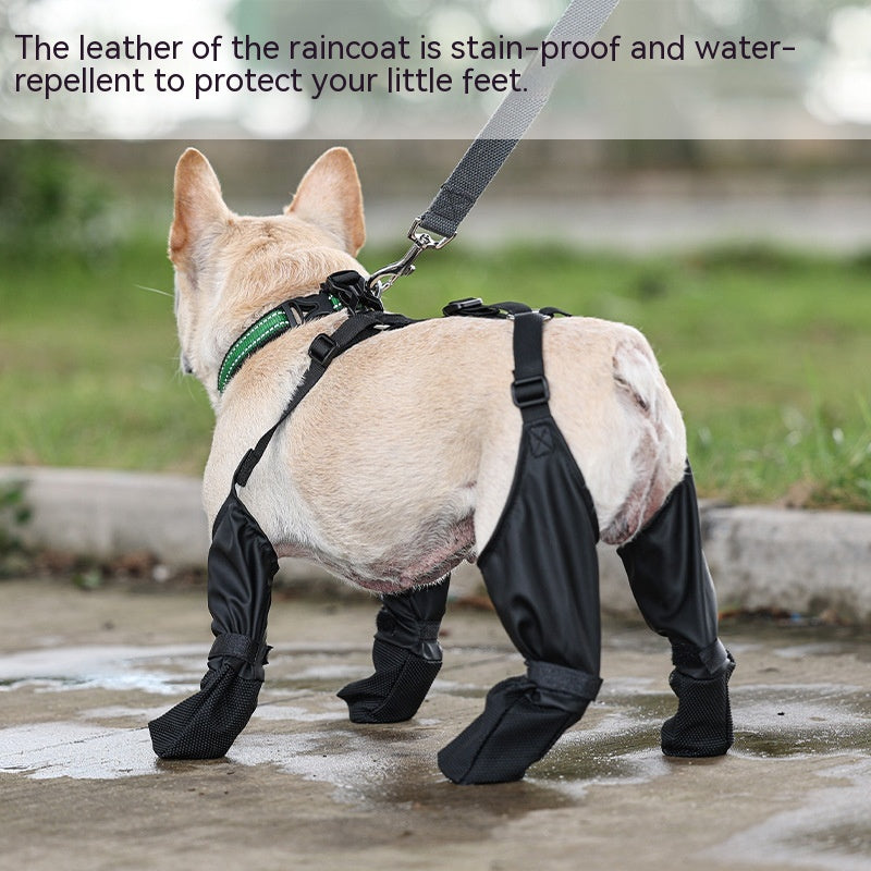 A dog in black rain pants and harness stands on wet pavement, with grass in the background.