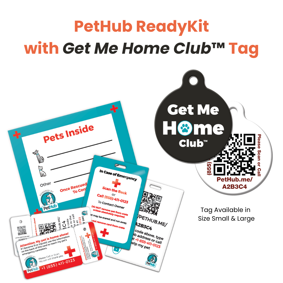 PetHub ReadyKit with tags, cards, and QR codes in red, blue, and black for pet safety.