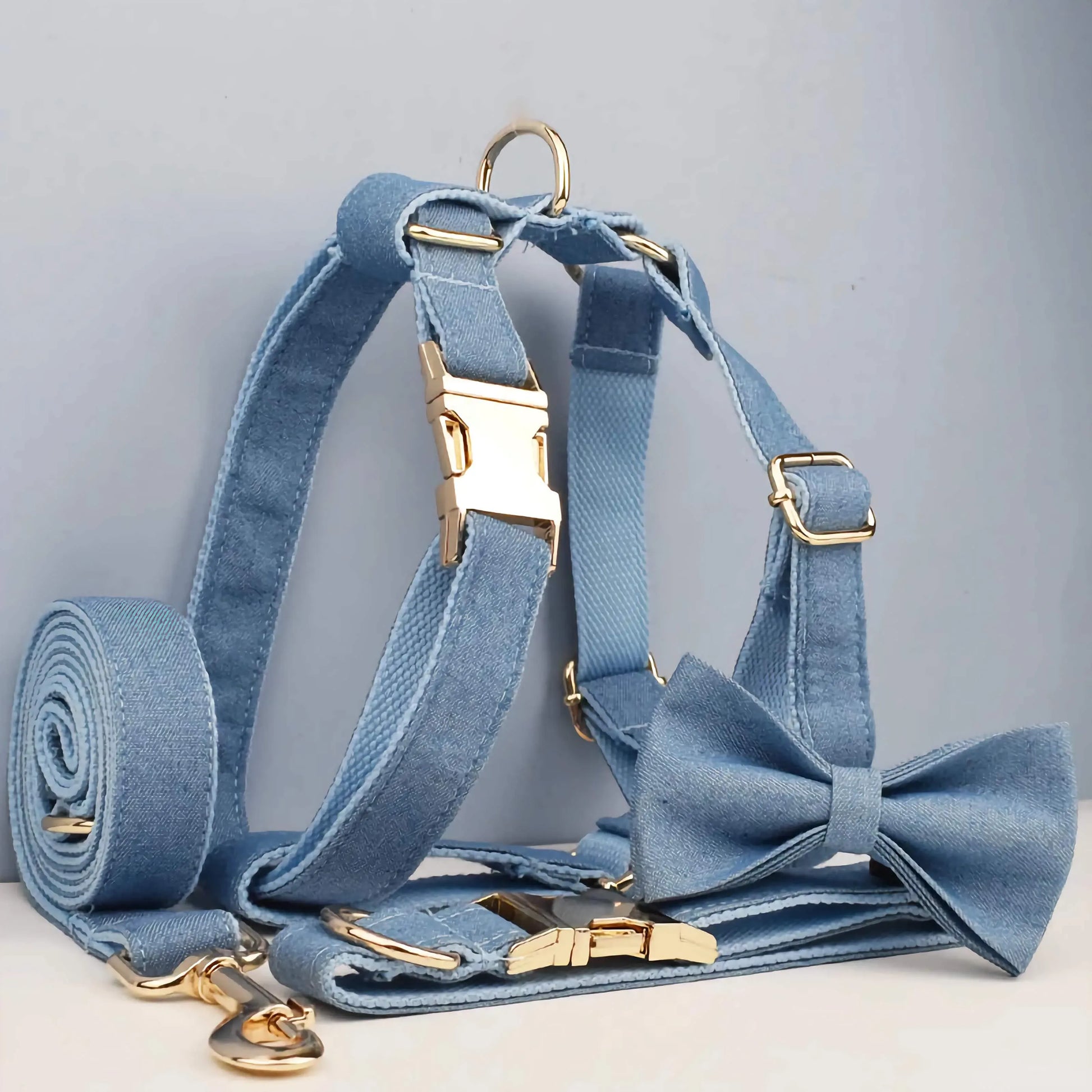 Light blue dog harness set with gold buckles, matching leash, and bow tie on a gray background.