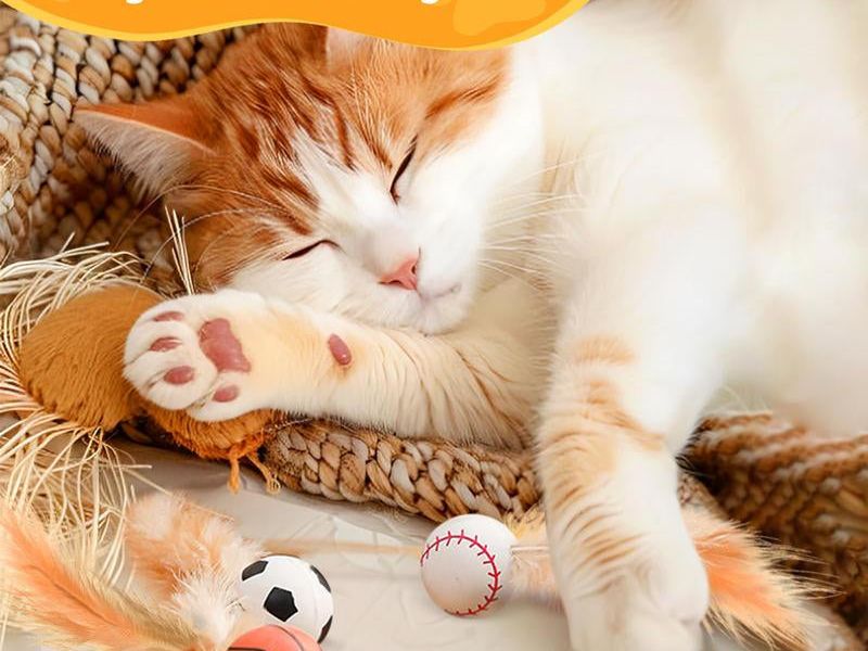 Txfny 9PCS Interactive Feather Ball Toy for Cats, New Cat Bouncy Ball with Feather Tails, Elastic Cat Toy Balls for Indoor, Rolling Balls for Cats Playing Exercise