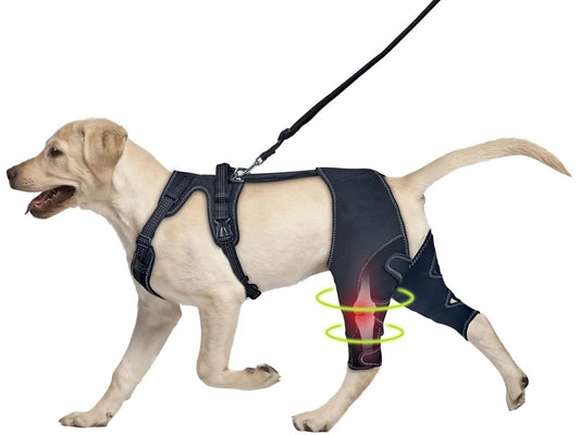 Dog Knee Brace with Metal Hinged Support - Adjustable ACL Brace for Torn Ligaments, Luxating Patella & Arthritis