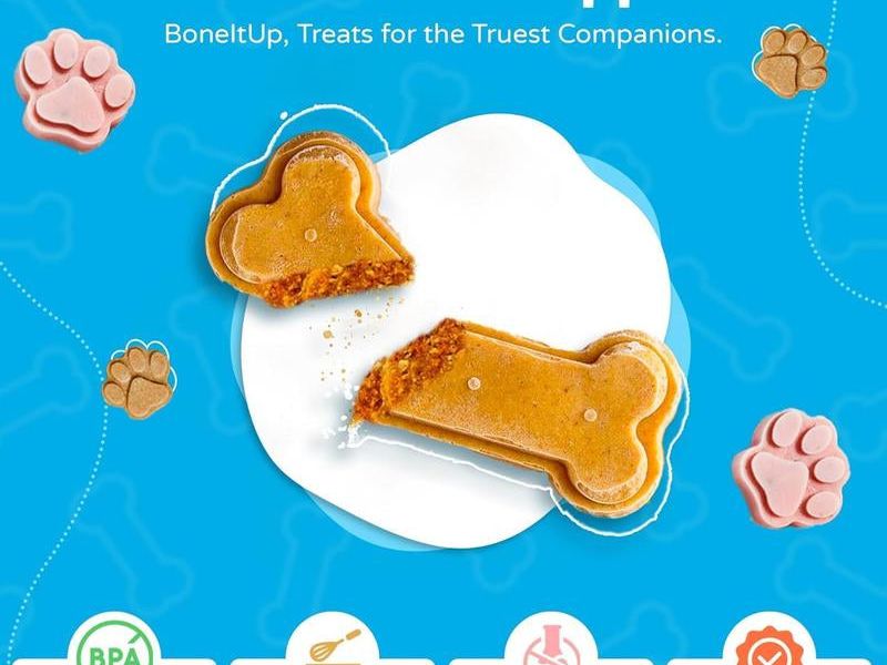 Homemade Dog Treat Kit - DIY Dog Treat Baking Kit W/Molds, Cutters, Recipes & Gift Bags - Bake Fresh, Healthy Organic Training Treats for Dogs at Home