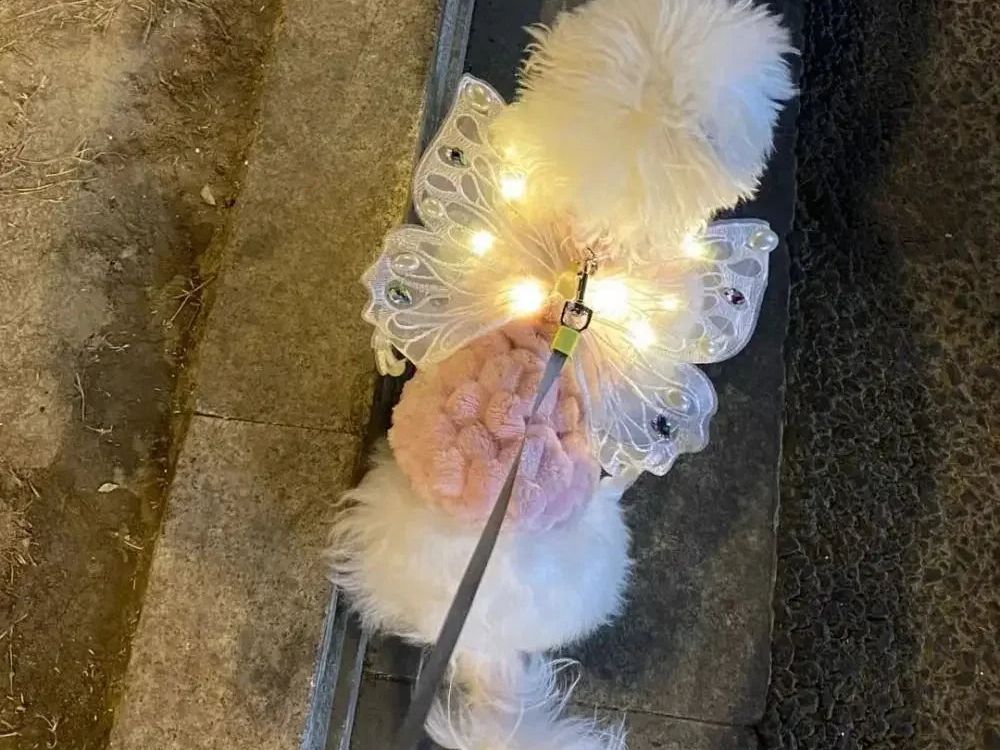 Dog Wings Glowing Butterfly Pet Back Decoration Creative Cute Pet Accessorie Dog Clothes for Small Medium Accessory Cat Supplies
