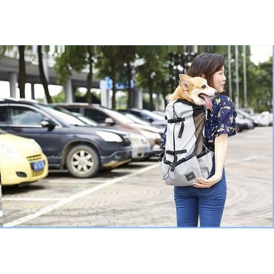 Woman with a dog in a gray backpack, standing in a parking lot with cars and trees in the background.