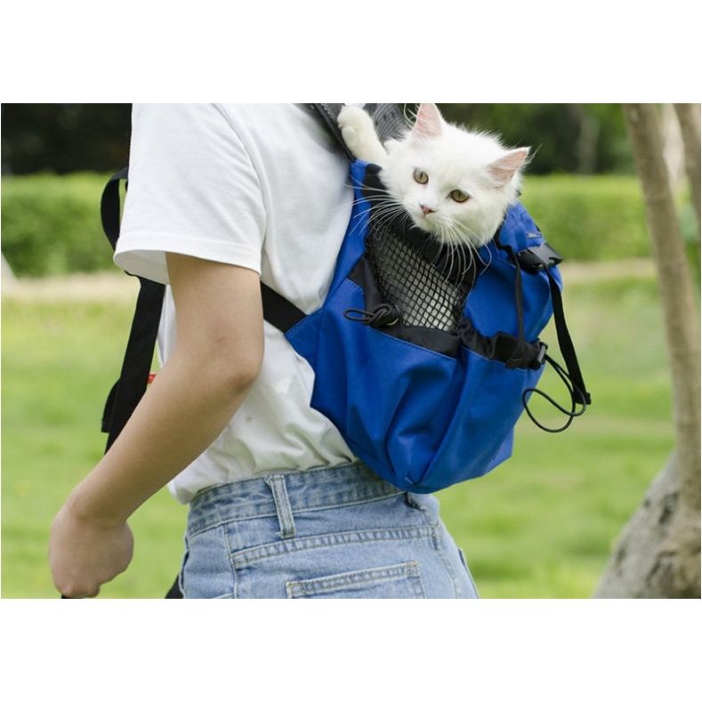 Person in white shirt carries a white cat in a blue backpack with mesh, outdoors on grass.