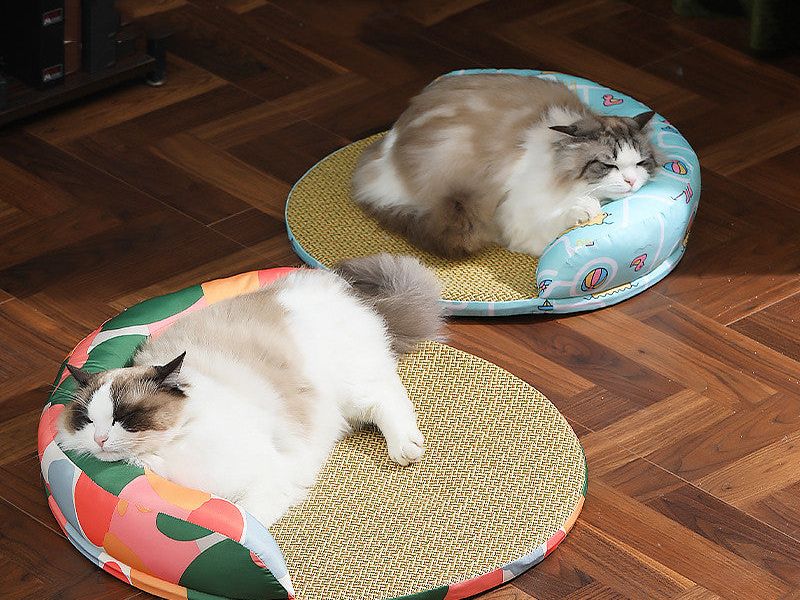 New Summer Cool Pet Sofa Beds Weaving Rattan Pillow to Lean on Mat Cat Dog Nest Etachable Prevent Cervical Spondylosis Pet Bed