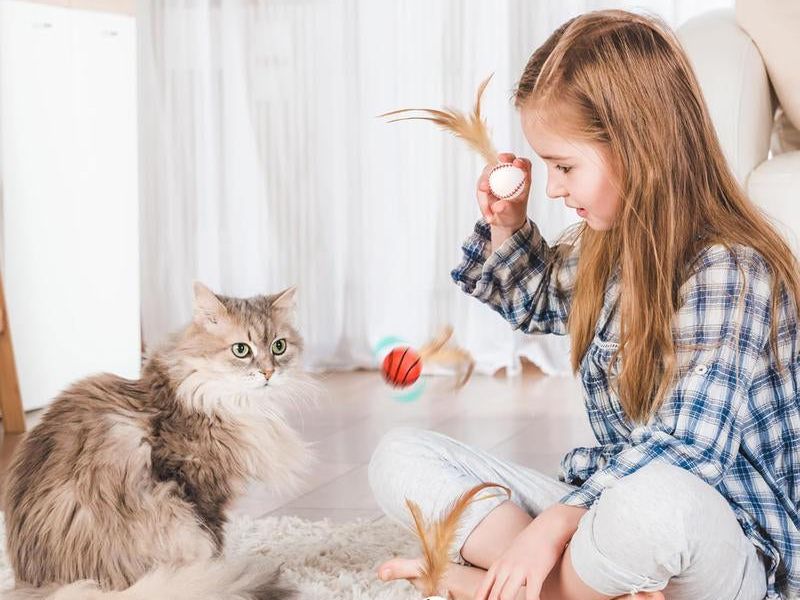 Txfny 9PCS Interactive Feather Ball Toy for Cats, New Cat Bouncy Ball with Feather Tails, Elastic Cat Toy Balls for Indoor, Rolling Balls for Cats Playing Exercise