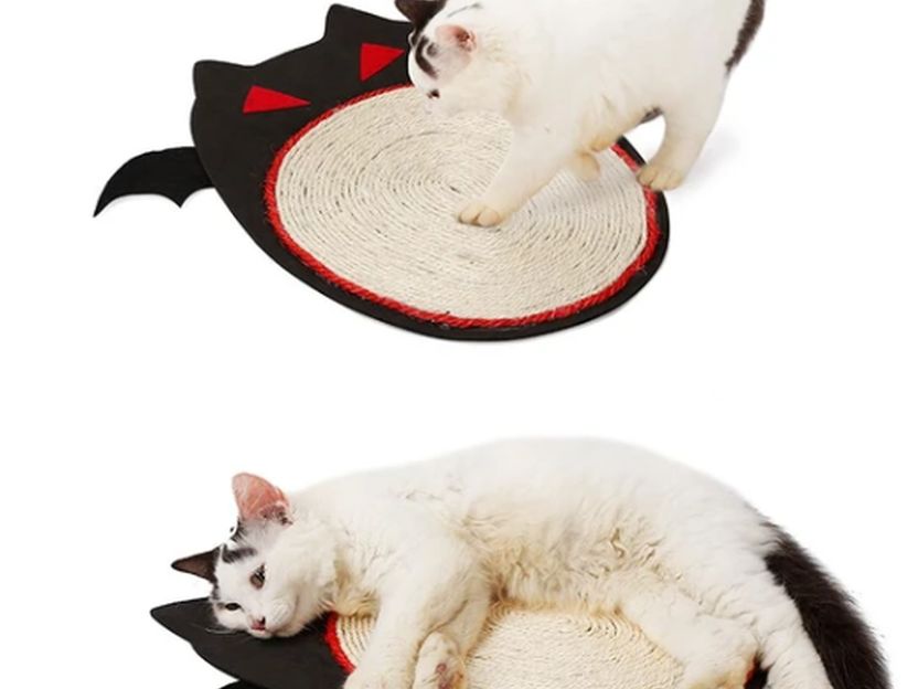 Cat Scratch Plate