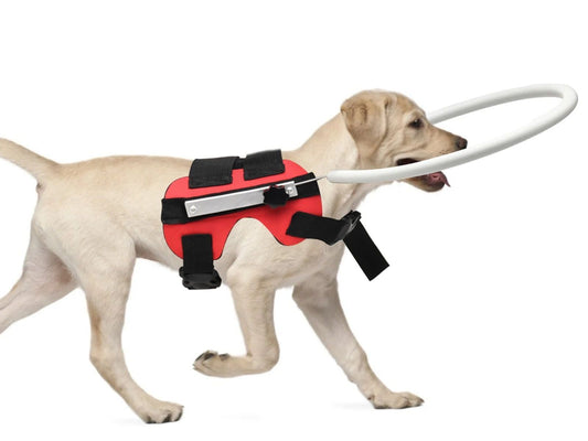 Blind Dog Anti‑Collision MYFZ02 Blind Pet Anticollision Animal Dog Protective Harness Vest