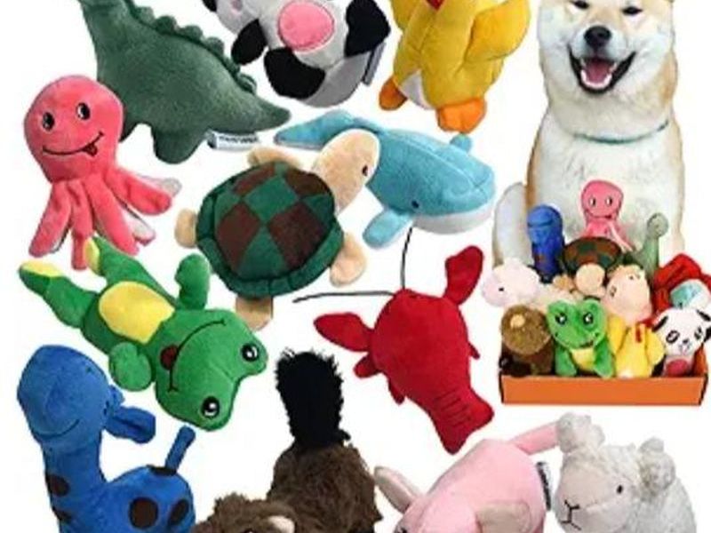 Squeaky Toys Bundle