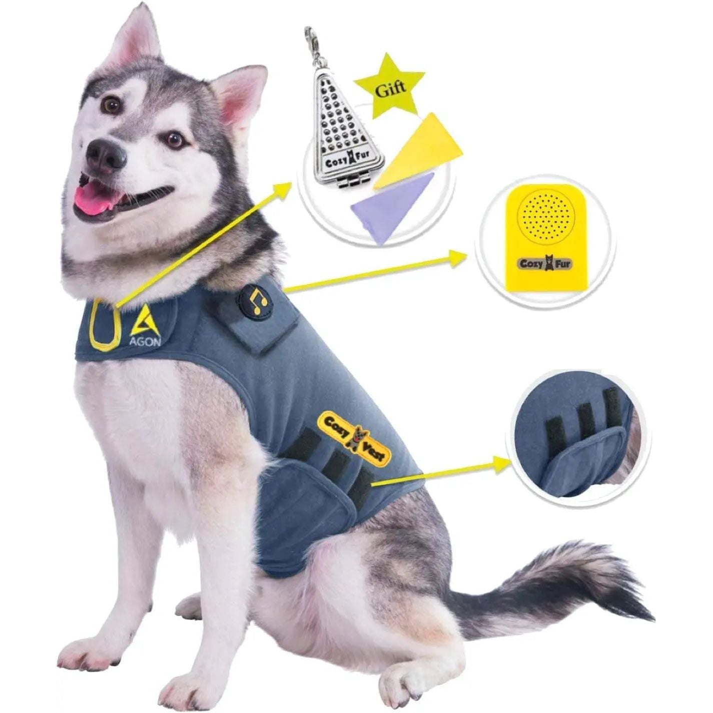 Husky wearing a blue vest with yellow accents, featuring a music note and Cozy Vest logo.