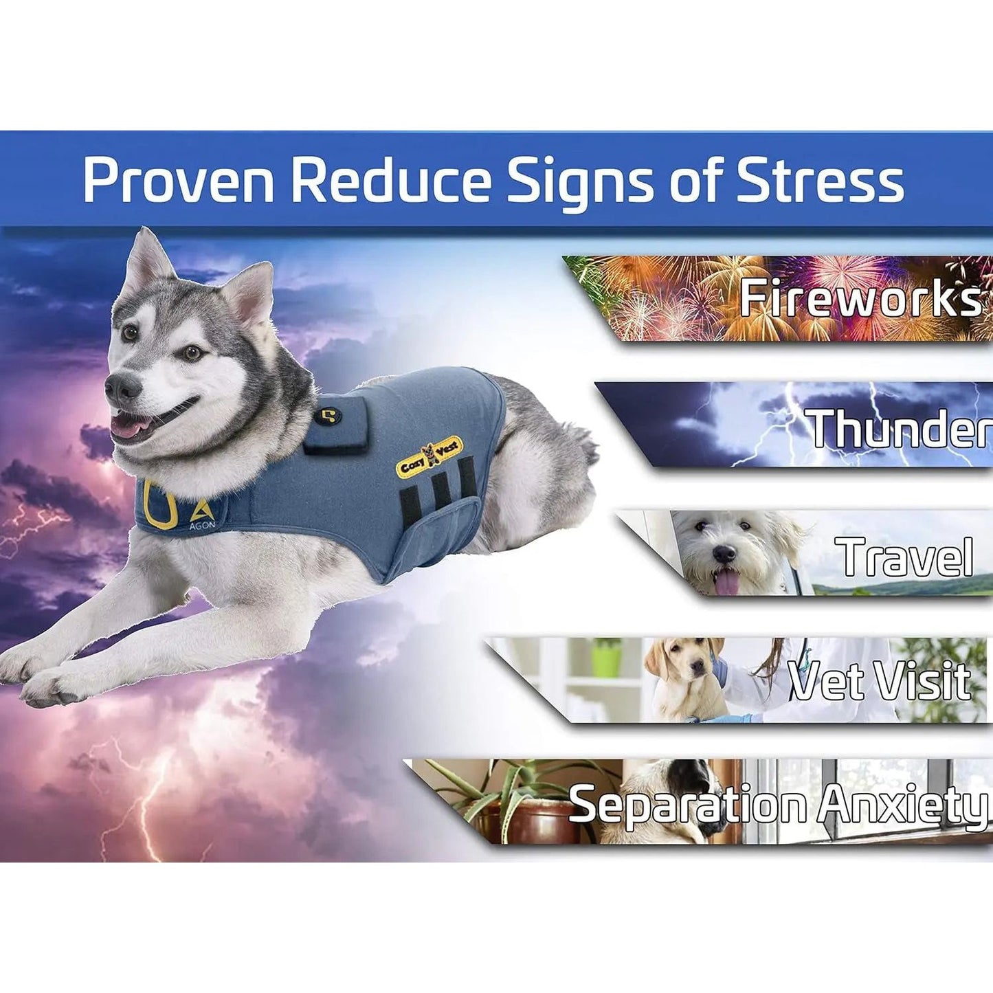 Husky in a blue vest with stress relief text and images of fireworks, thunder, travel, vet, anxiety.